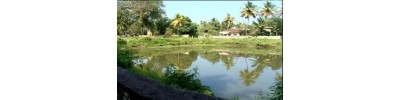 82. திருச்செங்குன்றூர்